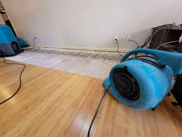 Professional Water Damage Repair technician working in Plymouth, ME